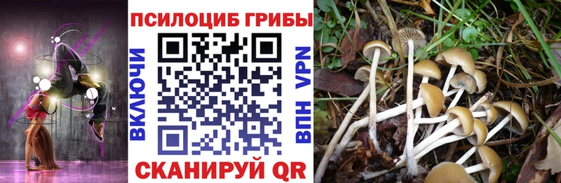 Псилоцибиновые грибы прущие грибы  omg как войти  Джанкой  цена  
